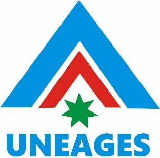 National Vice Chairman